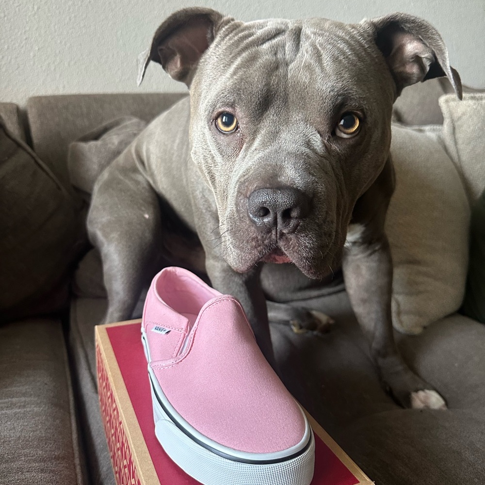 Pink Slip-On Vans